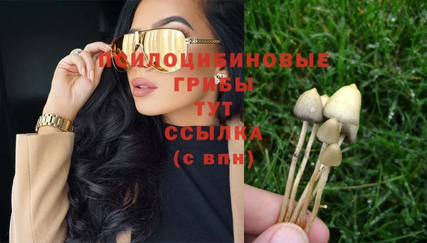 дживик Волосово