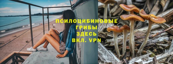 дживик Волосово